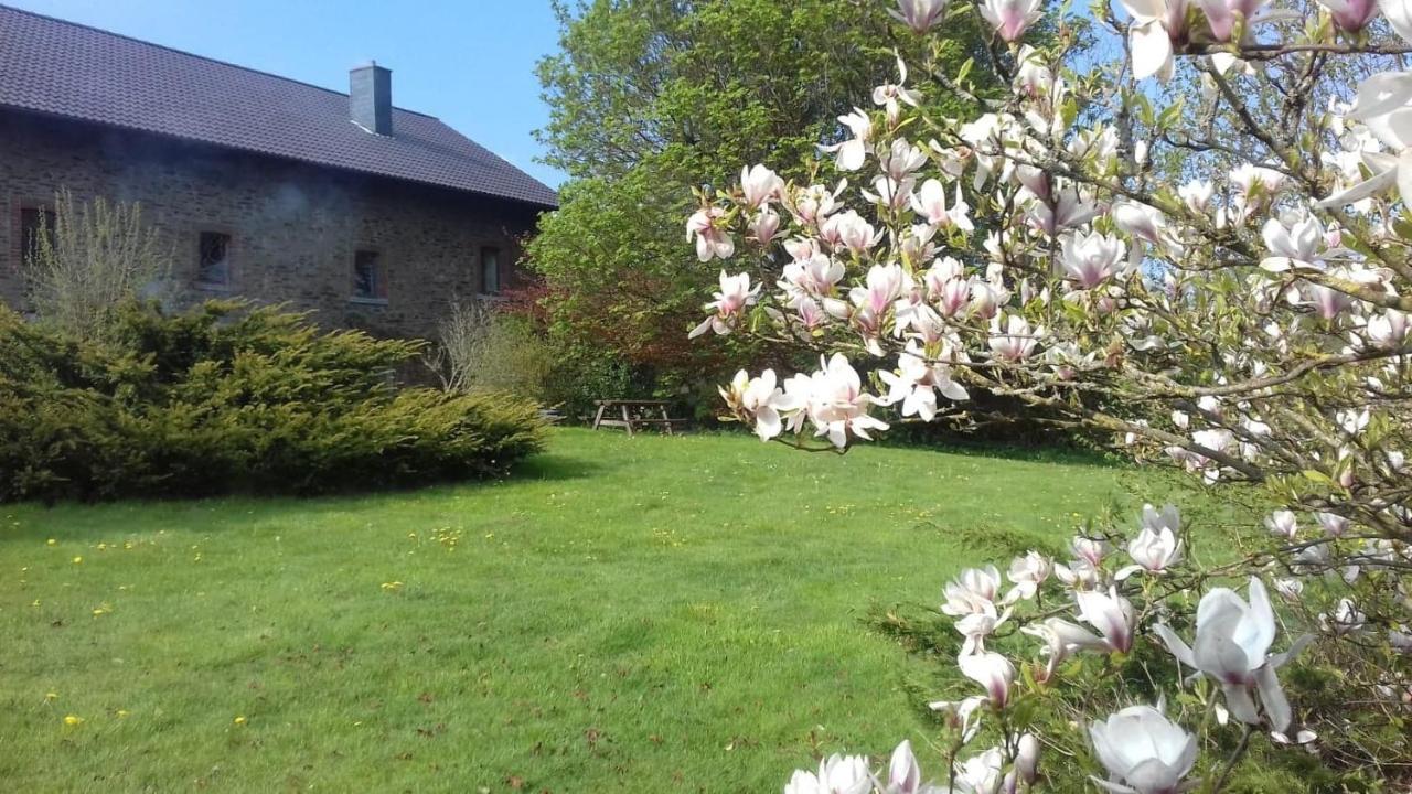 Villa Les Glycines Gouvy Esterno foto