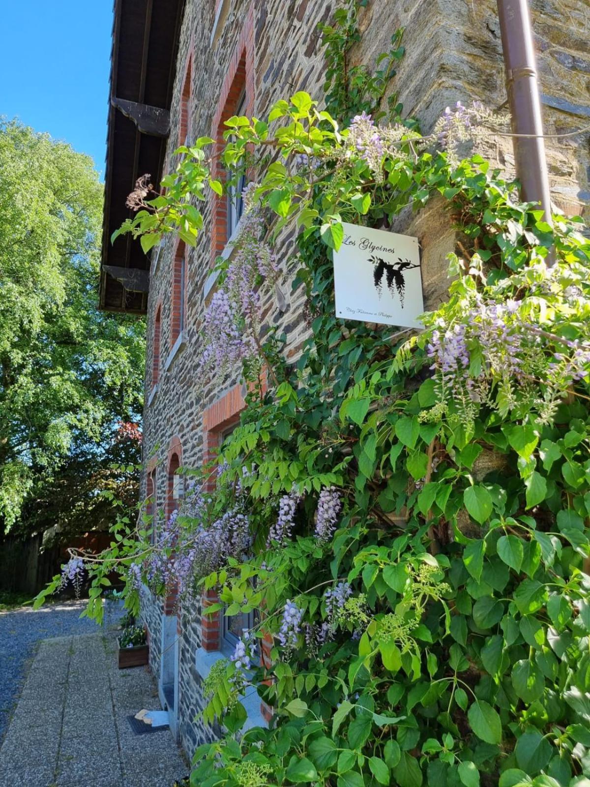 Villa Les Glycines Gouvy Esterno foto